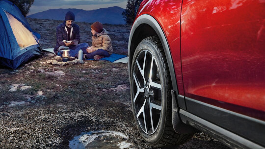 SEAT Wintercheck