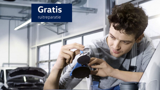 gratis-ruitreparatie_4x3-met-eyecatcher