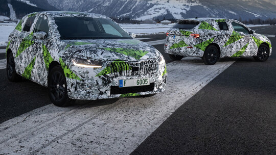 Skoda Fabia 