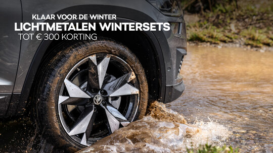 Škoda Wintercheck
