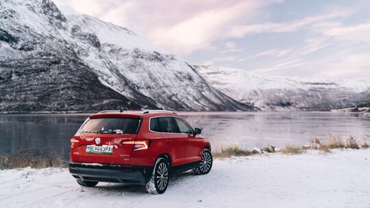 Wintercheck Škoda