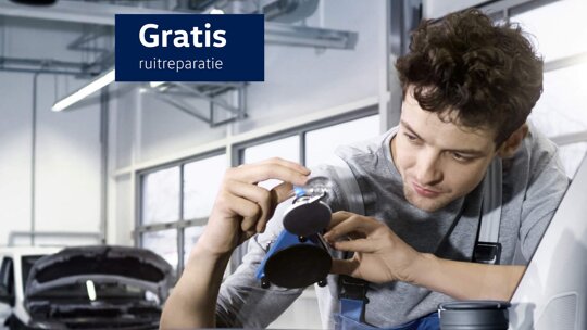 gratis-ruitreparatie_4x3-met-eyecatcher