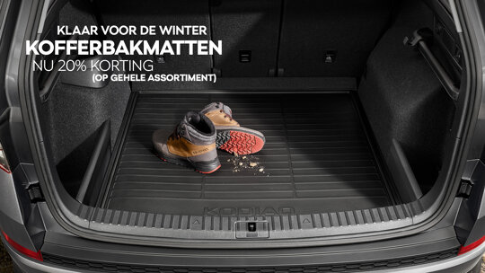 Škoda Wintercheck