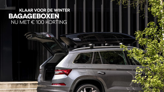 Škoda Wintercheck