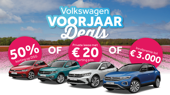 Actie afbeeldingen - polo enzo