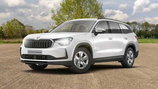 Card - Kodiaq 1