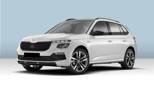 Kamiq_Skoda_Cards
