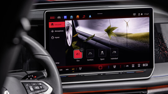 tiguan18