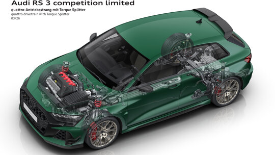 Audi RS 3 (24)