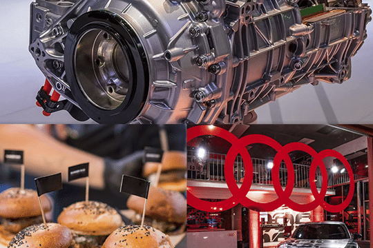 open-dag-audi