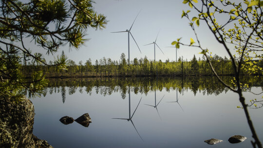 windmolenparkvw