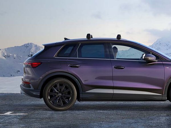 Audi Wintercheck
