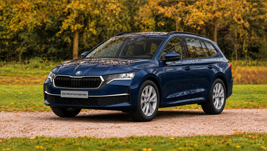 Cards - Skoda octavia