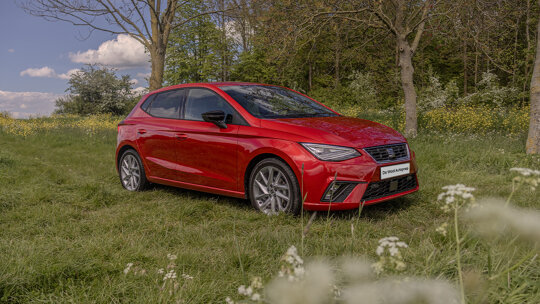 SEAT Ibiza (1)