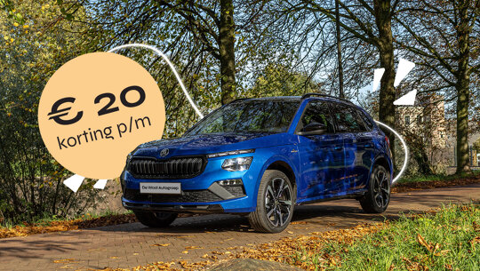 Škoda Kamiq - GVSD card