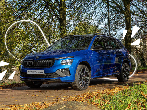 Škoda Kamiq GVSD hero mobiel