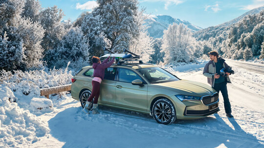 Skoda winterbanden 2026