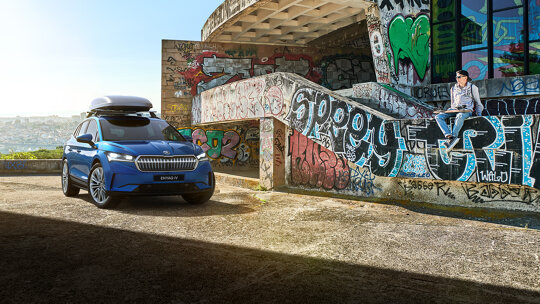 wintercheck skoda graffiti