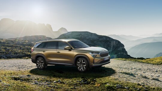 Skoda Kodiaq 2023 (11)