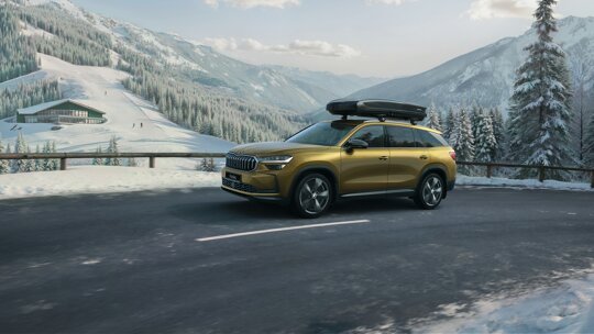 skoda winter accessoires 2026