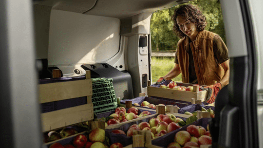 Tekst afbeeldingen - 2026-01-15T083809.361