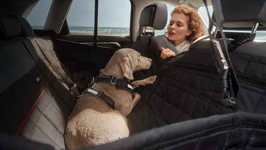 ARS4958-03 Audi voorjaarscampagne 2023 - Homepagebanner 1920x1080px2
