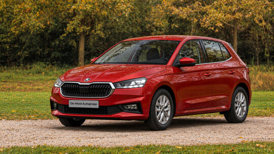 Cards - Skoda Fabia