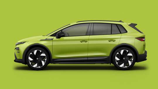 mamba green