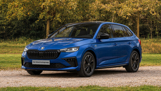 Cards - Skoda Scala