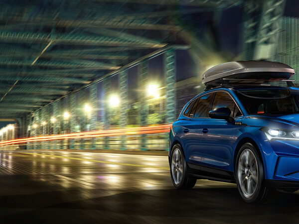 Header SKODA Wintercheck