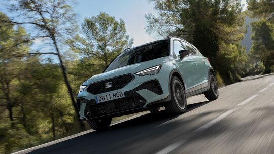 Kleine afbeelding - arona