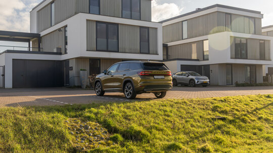 Kodiaq goud - 8