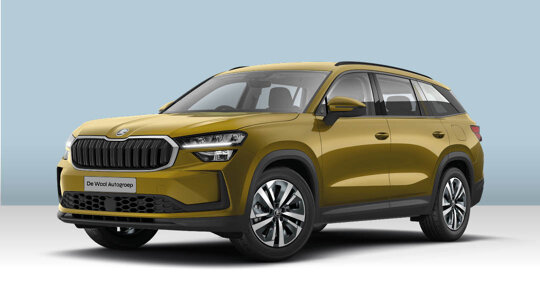 Kodiaq_Skoda_Cards