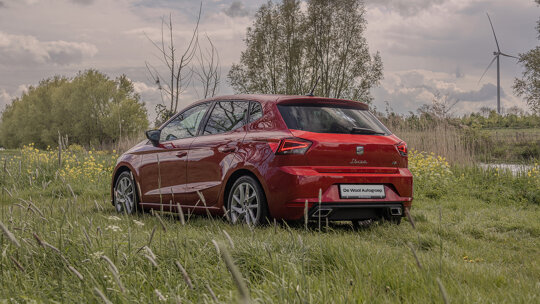 SEAT Ibiza (2)