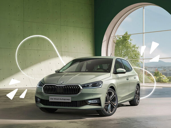 Škoda Fabia GVSD hero mobiel
