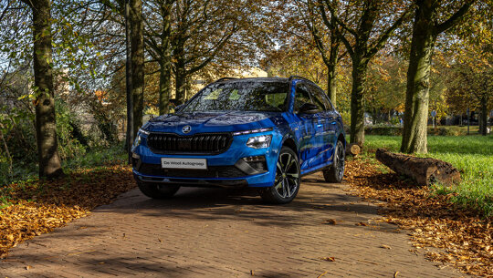 Skoda Kamiq hero mobiel