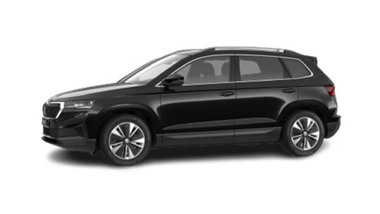 skoda karoq business edition