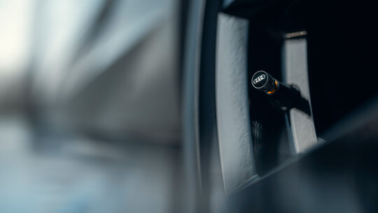 Ventieldop Audi logo