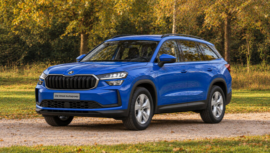 Cards - Skoda Kodiaq