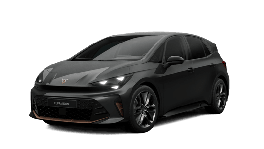 CUPRA Born Business