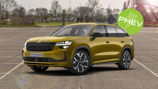 Kleine afbeelding - Kodiaq