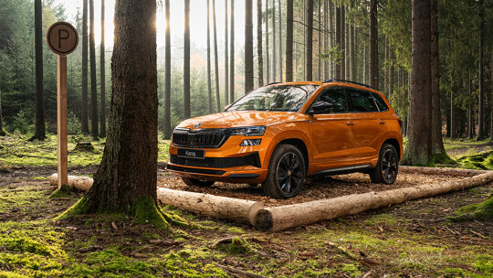 Skoda winterbanden