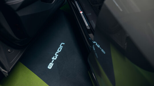 Audi Q8 e-tron deurverlichting