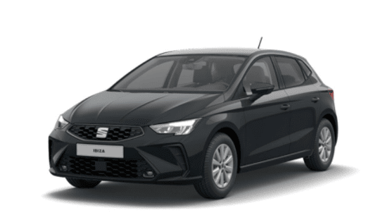 Seat Ibiza reference