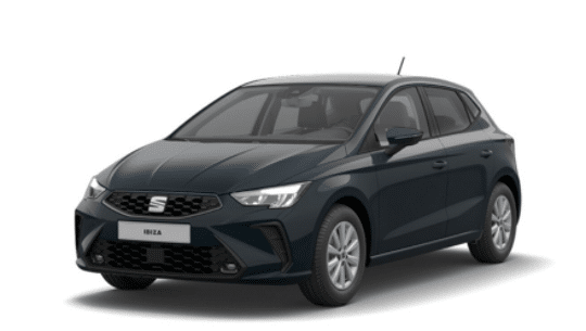 Seat Ibiza reference