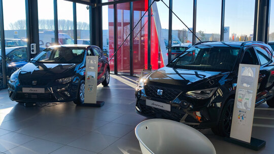SEAT Ibiza en Arona in Duiven