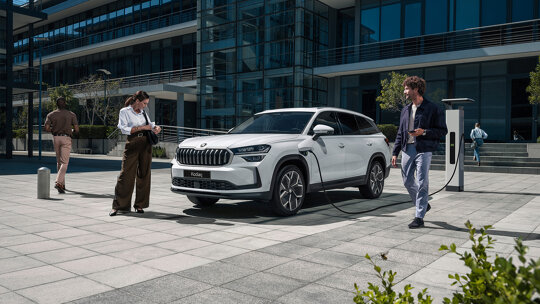 Skoda Kodiaq Business Edition - kleine afbeelding