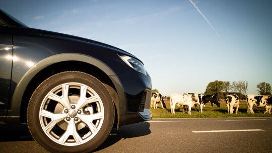 Audi A1 citycarver