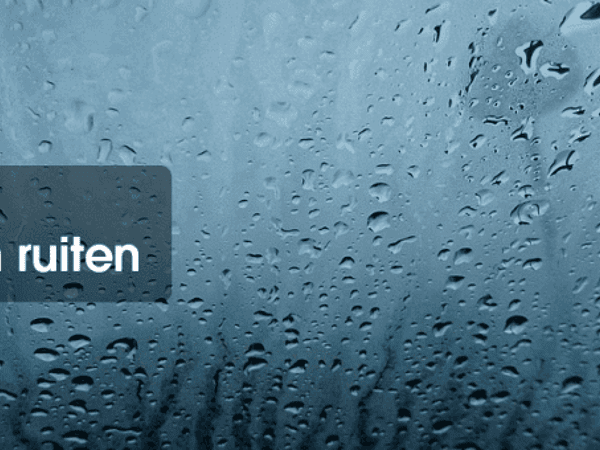 Beslagen autoruiten