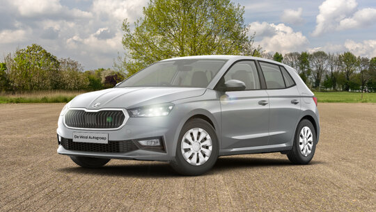Card - Fabia 1